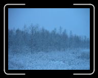 0212_0301 Sverige 019 * 800 x 600 * (45KB)